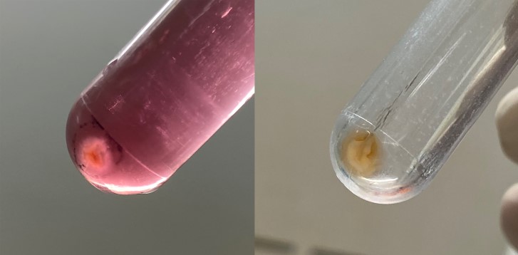 组织-3.jpg