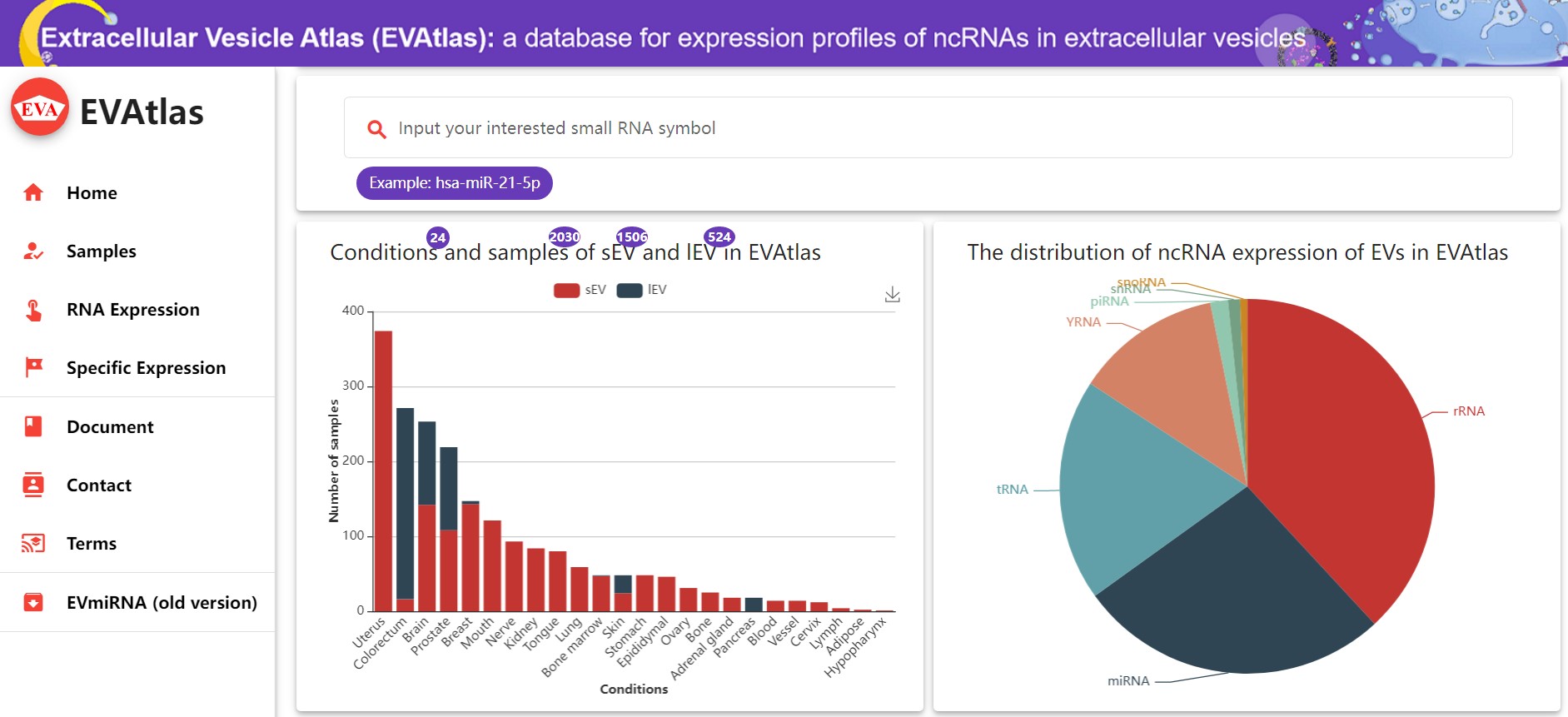 RNA-3.jpg